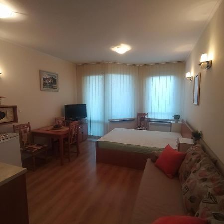 Pine Tree Studio B11 Бансько Екстер'єр фото