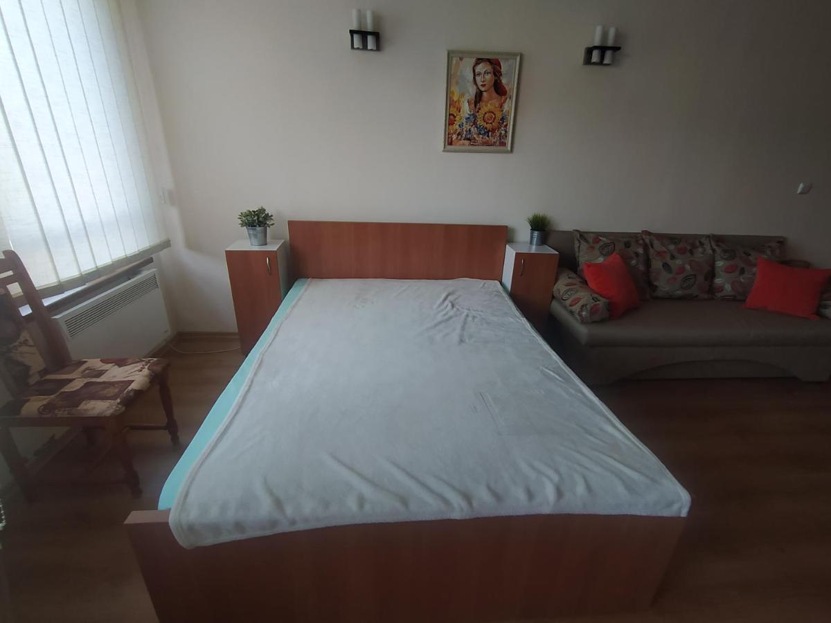 Pine Tree Studio B11 Бансько Екстер'єр фото