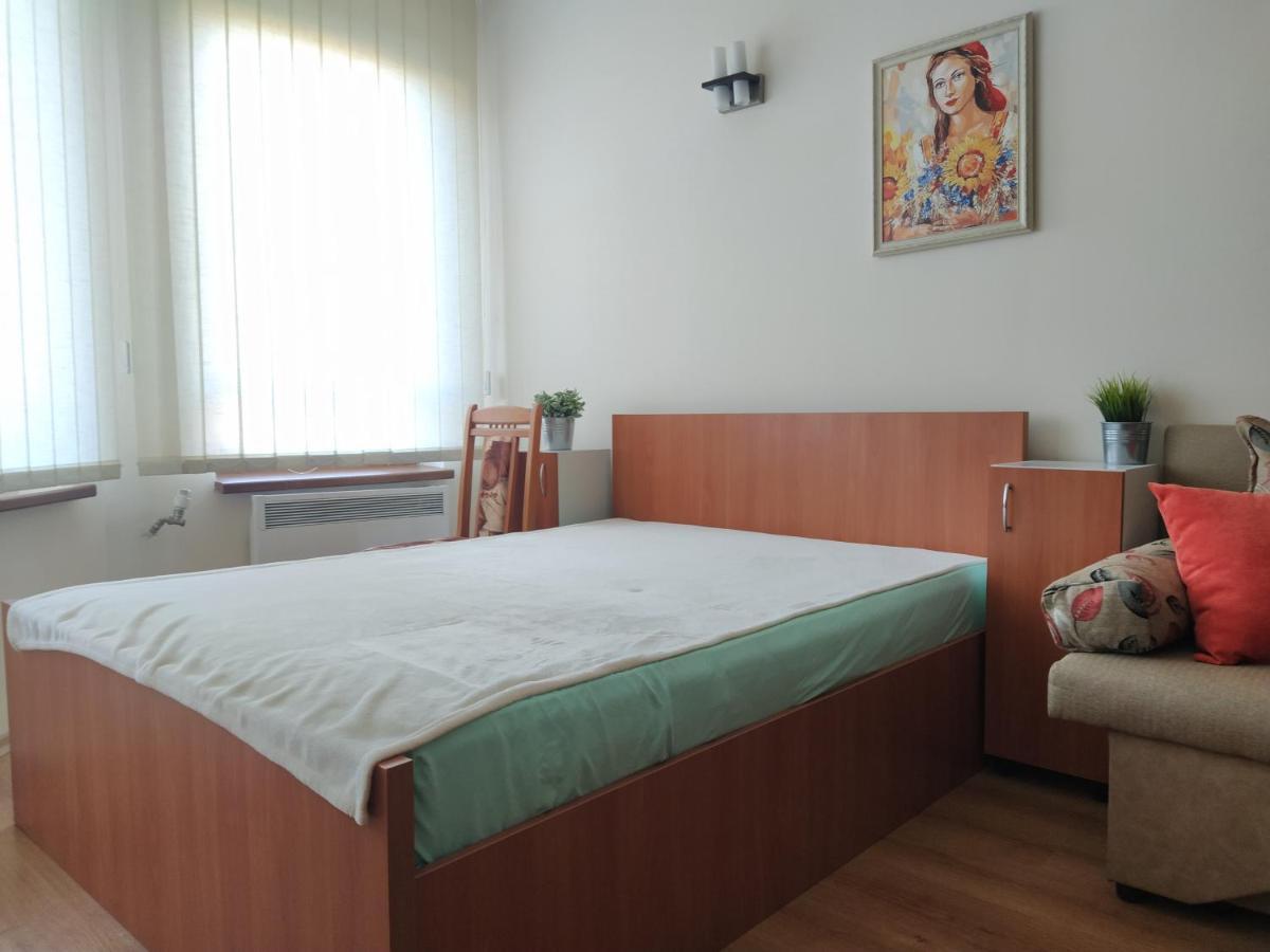 Pine Tree Studio B11 Бансько Екстер'єр фото